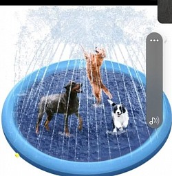 Sprinkler for dogs & kids